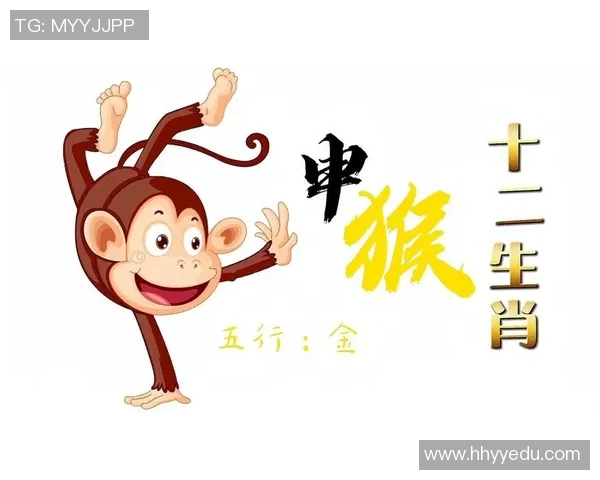 猴子头像篮球明星的传奇故事与成长历程揭秘